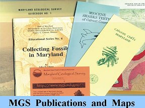 MGS publication examples