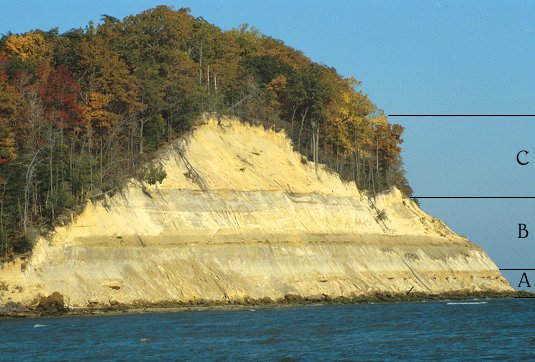 Calvert Cliffs