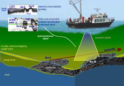 Overview of Acoustic Survey